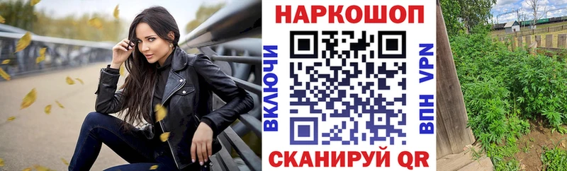 Альфа ПВП Туапсе